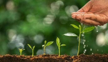 duana-ltda-sostenibilidad